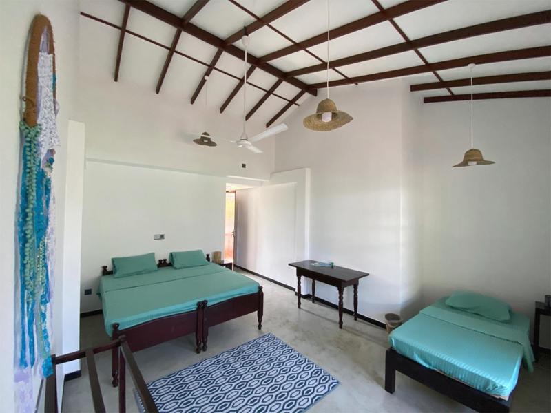 The Calm Palm - image 26