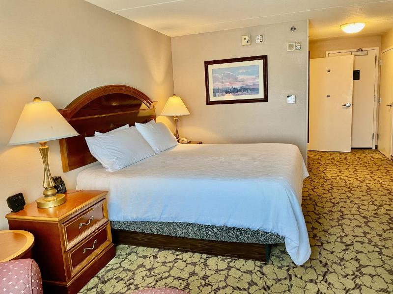 King Room with Bath Tub - Disability/Hearing Accessible image 2