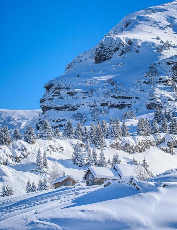 Les Chalets du Petit Châtel - Alp'in C - image 21