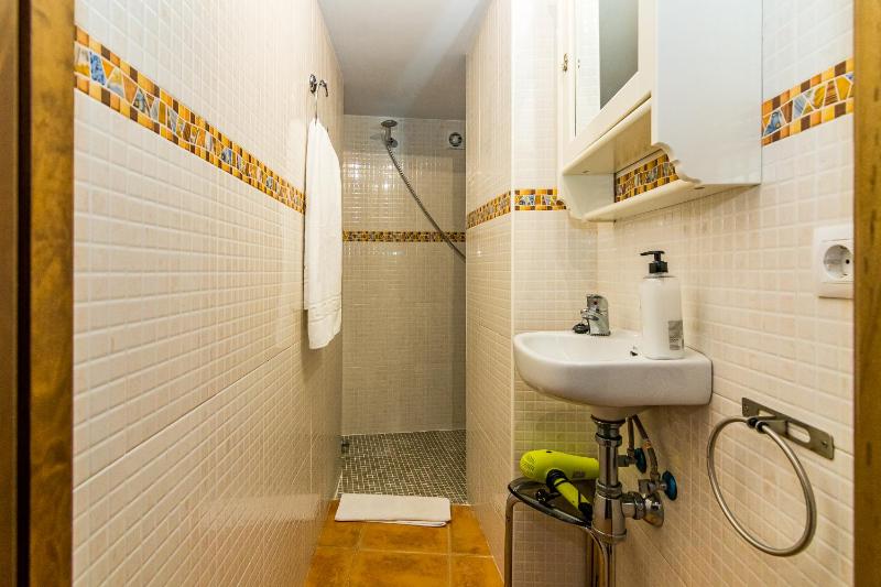 Duplex Apartment with private terrace and views image 2