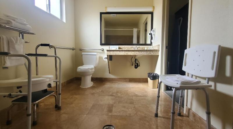 Standard Room, 1 King Bed, Accessible Roll-In Shower, Non Smoking image 2