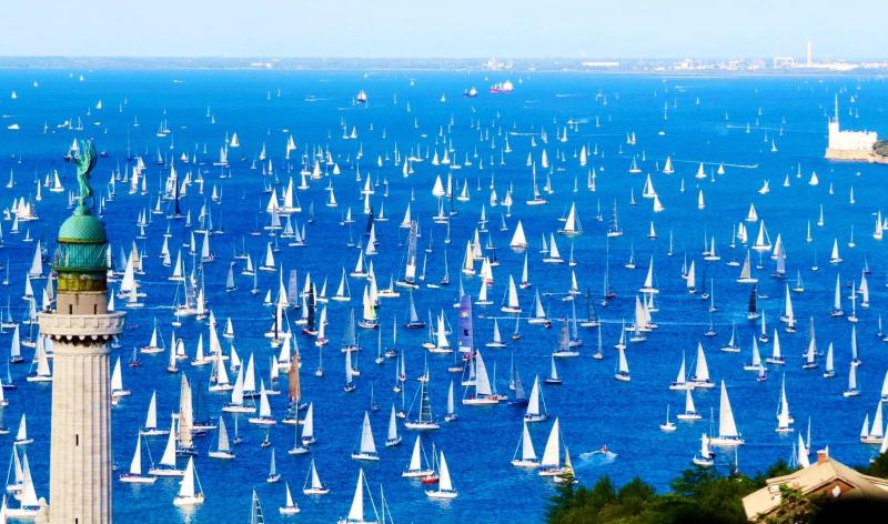 Trieste Sea Life - image 6