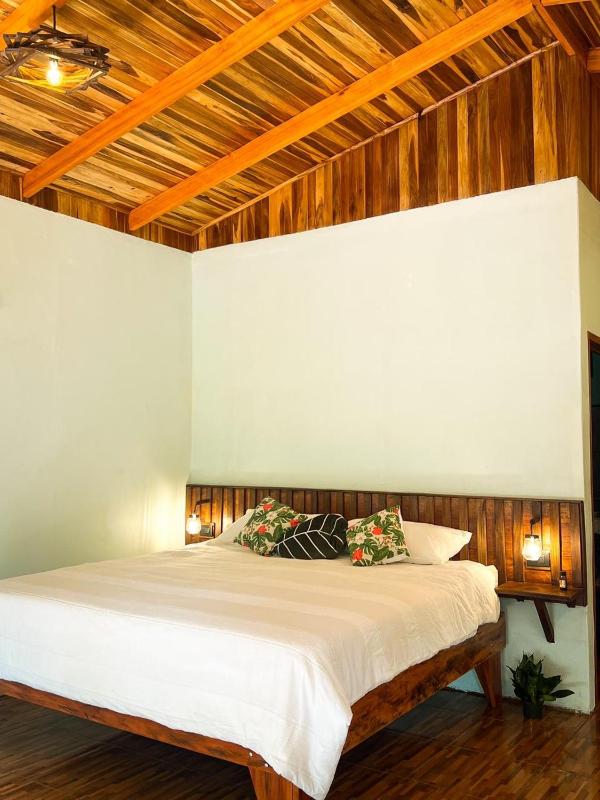 Ficus house - image 3
