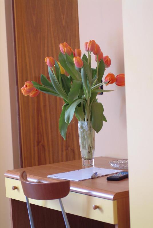 Classic Single Room with Balcony image 2