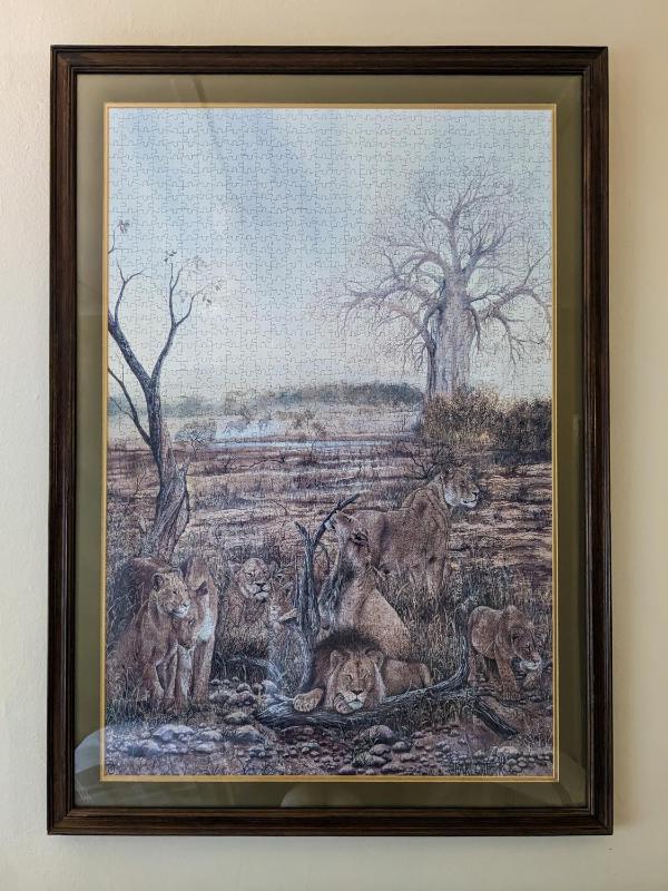Zambezi Family Lodge - Lion Room - image 15