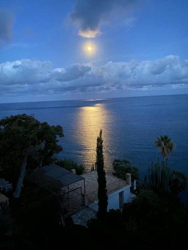El jardin Botánico Villa LUZ - image 10