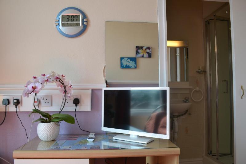 Single Room image 4
