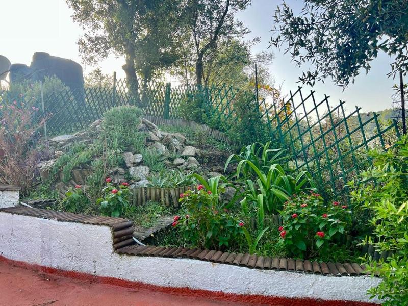 Villa Platanias - image 32