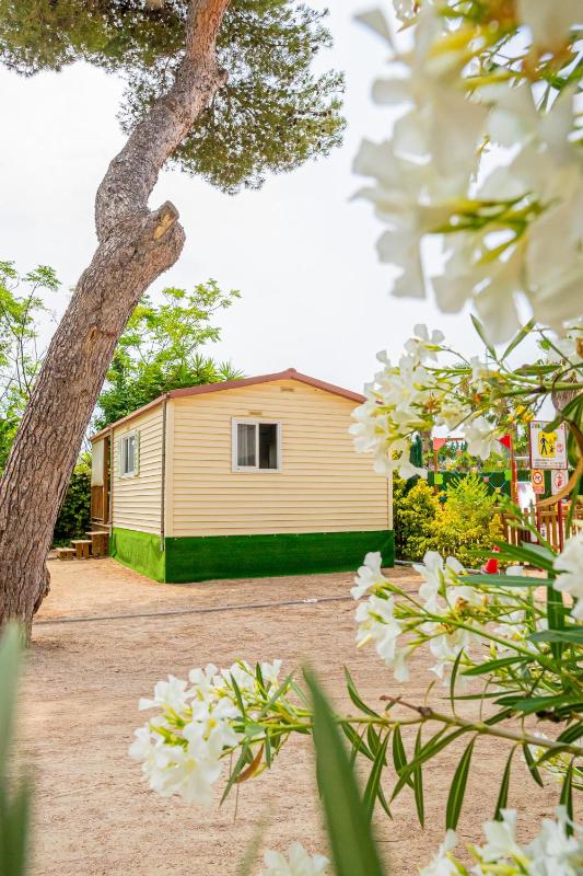 Standard Bungalow image 1