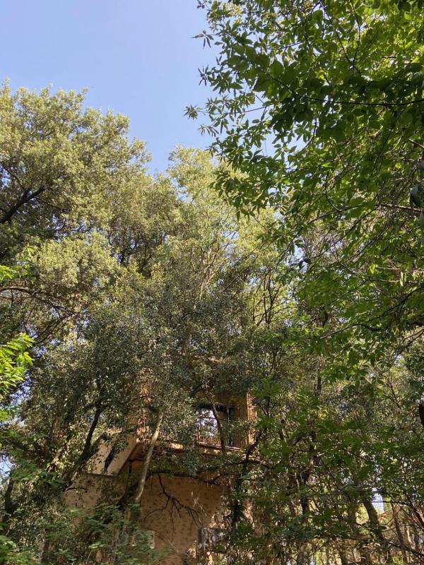 Deluxe Double Room with Balcony image 2