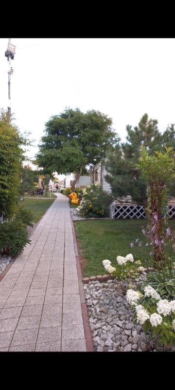 Apartamenty u Beaty Ogrodzone - image 2