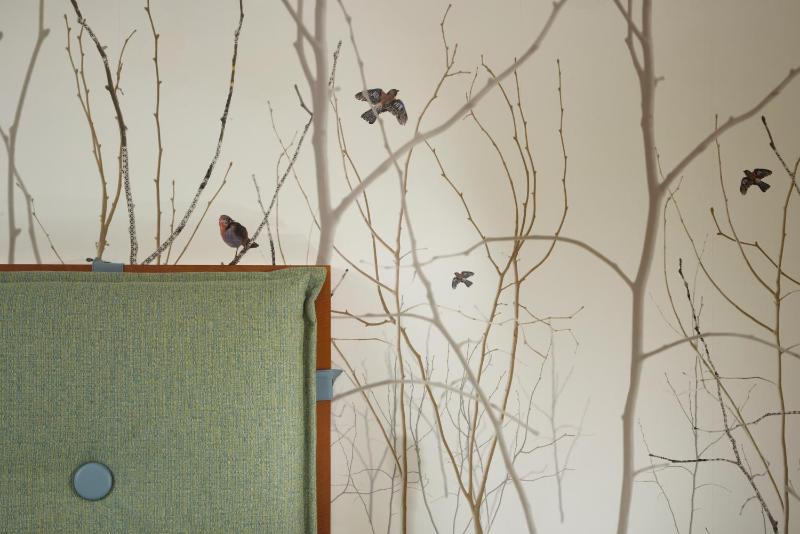 Standard Single Room image 2