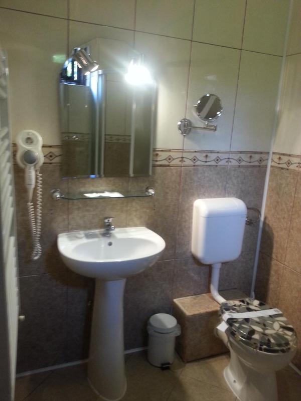 Single Room image 3