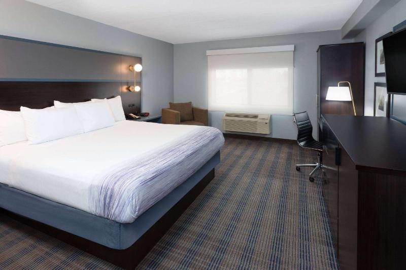 King Room with Roll-in Shower - Mobility Access/Non-Smoking image 4