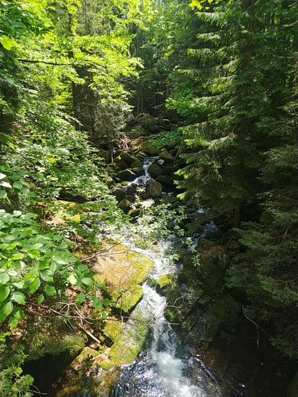 Na Małej - image 15
