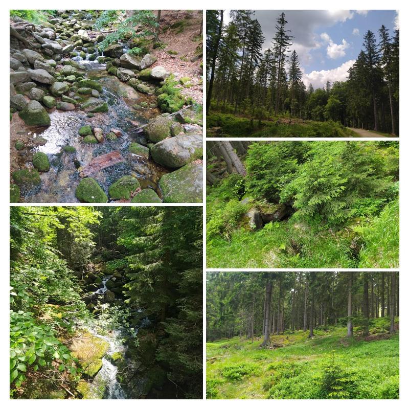 Na Małej - image 28