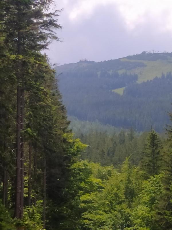 Na Małej - image 22
