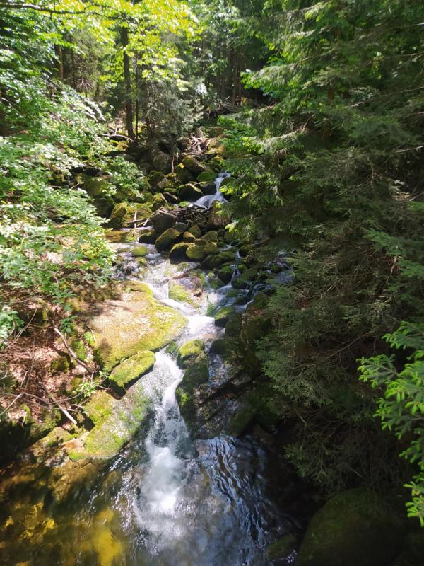 Na Małej - image 5