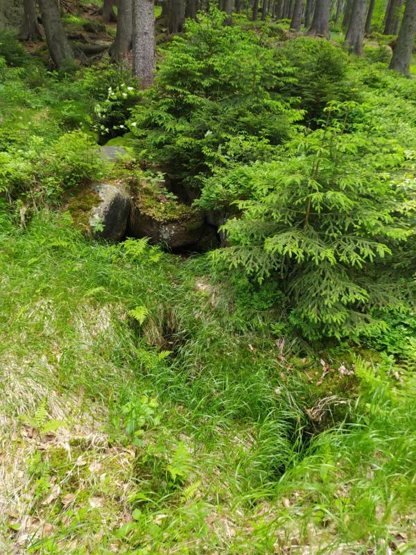 Na Małej - image 19