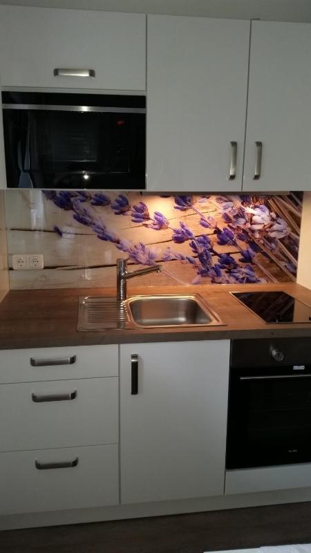 One-Bedroom Apartment image 4