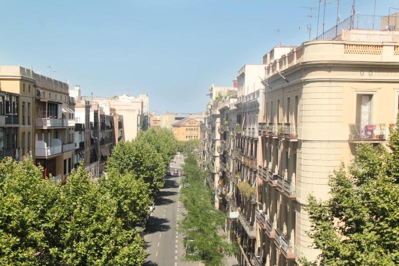 Som Nit Triomf - image 11