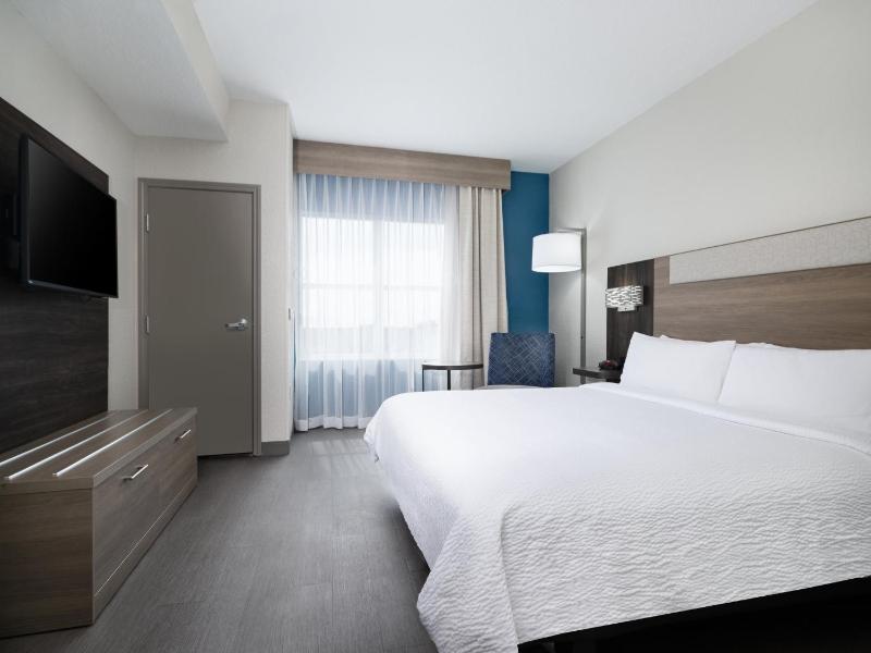 One-Bedroom King Suite with Sofa Bed image 4