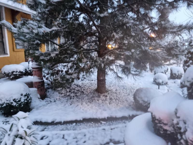 Apartment - Ground Floor image 3