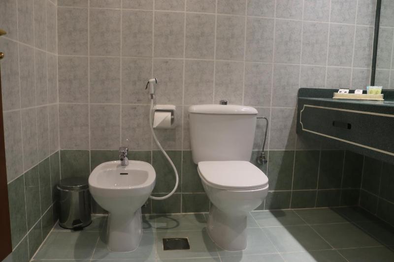 Deluxe Double Room image 3