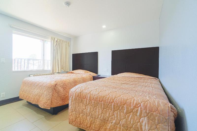 Comfort Quadruple Room image 1