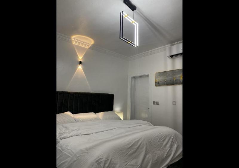 Exquisite Lekki Phase1 Apartment - image 2