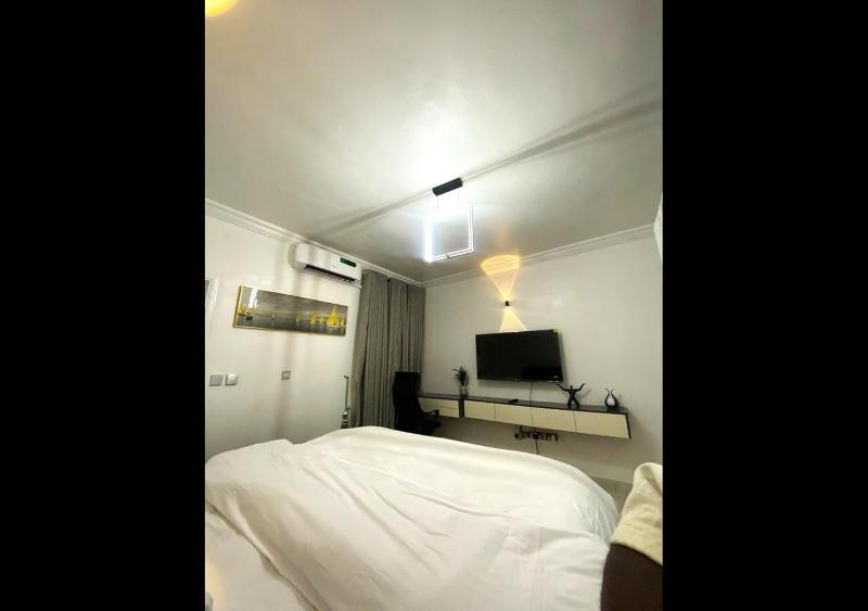 Exquisite Lekki Phase1 Apartment - image 9