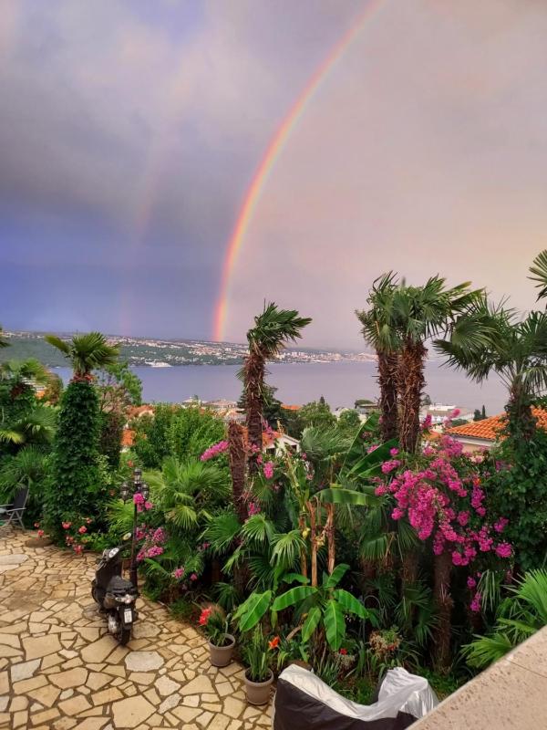 Villa Palme 1 - image 12