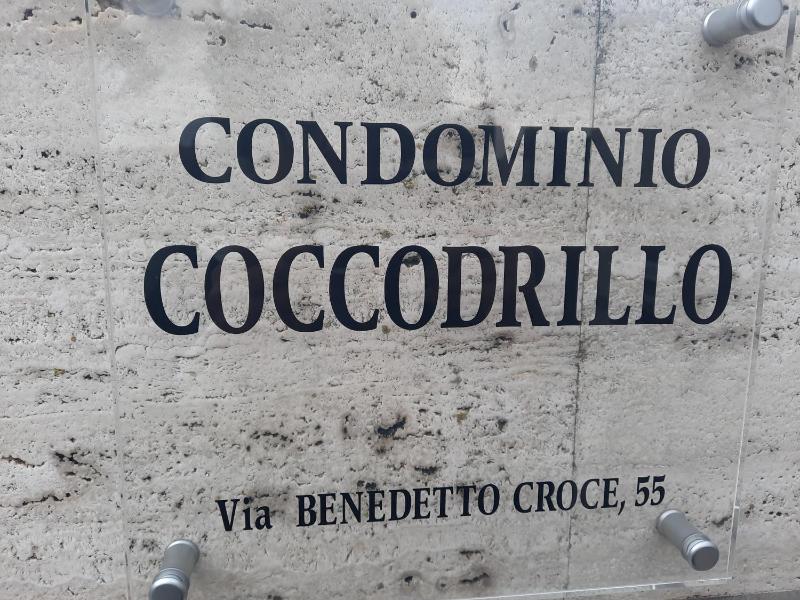 Il Coccodrillo By Case al Lago - image 15