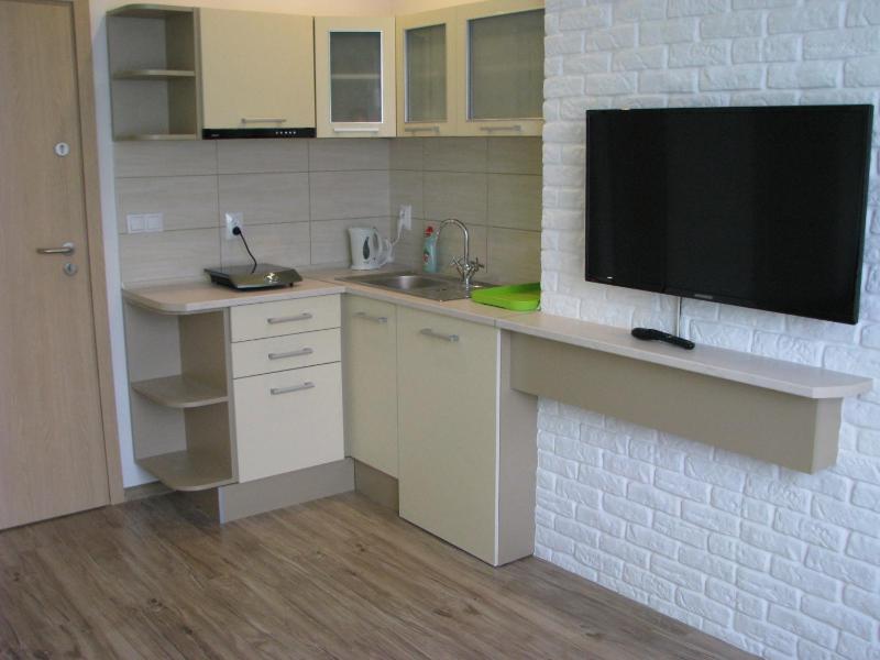One-Bedroom Apartment image 4