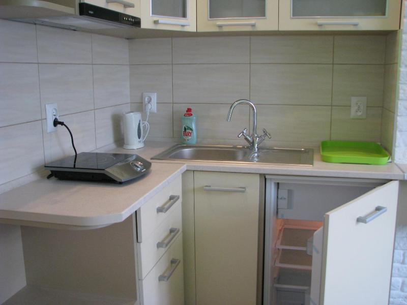 One-Bedroom Apartment image 3