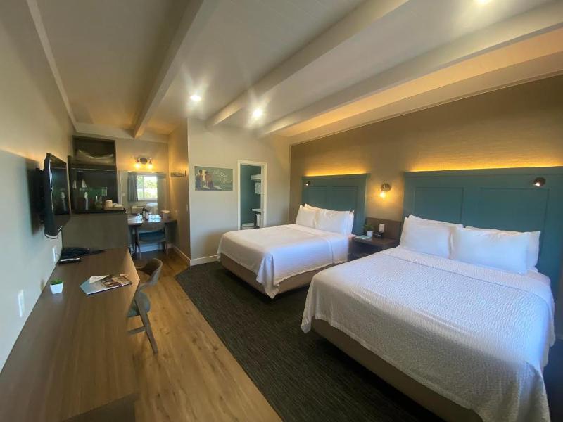 2-Queen Partial Oceanview Room. No Pets image 4