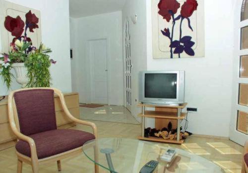 Villa Palme 1 - image 17