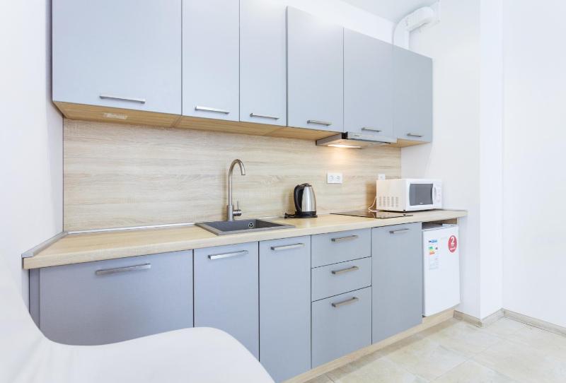 One-Bedroom Apartment image 1
