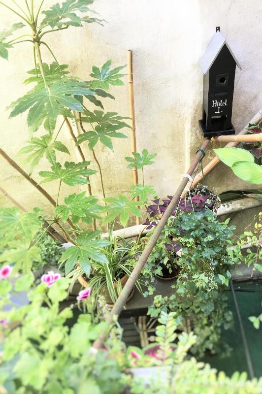 Standard Family Room image 4