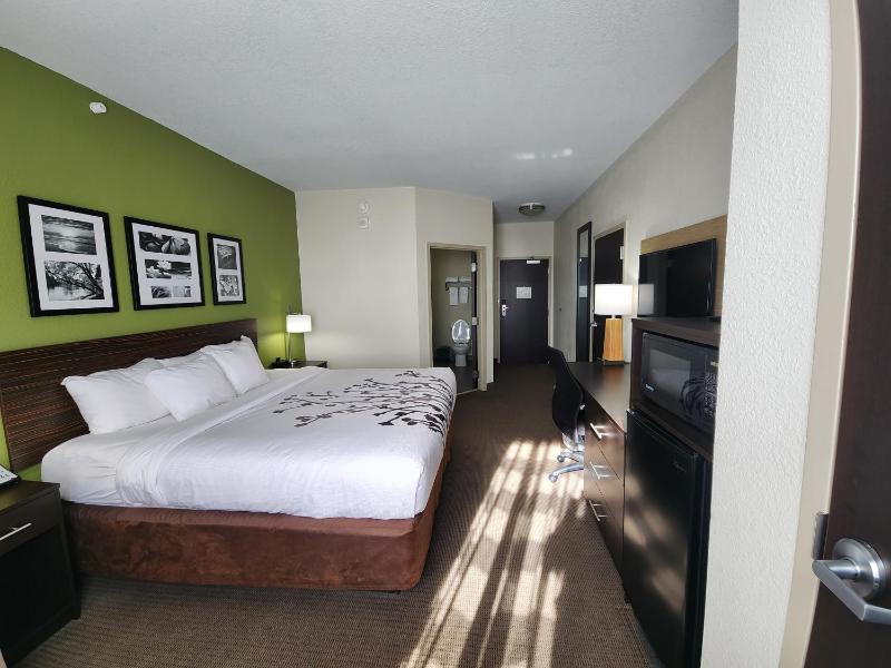 King Room image 3