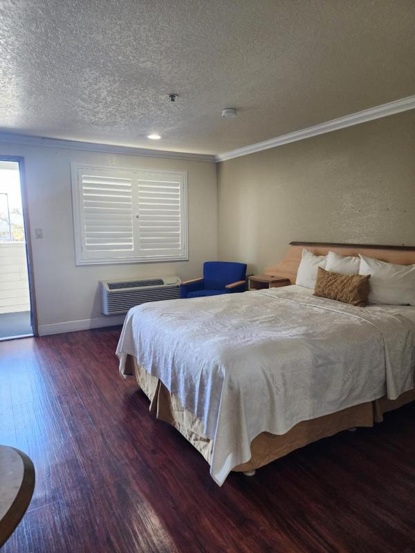 Single Room image 1