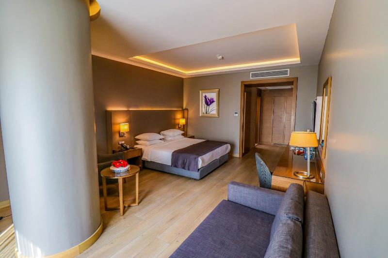 Premium King Room with Sofa Bed image 1