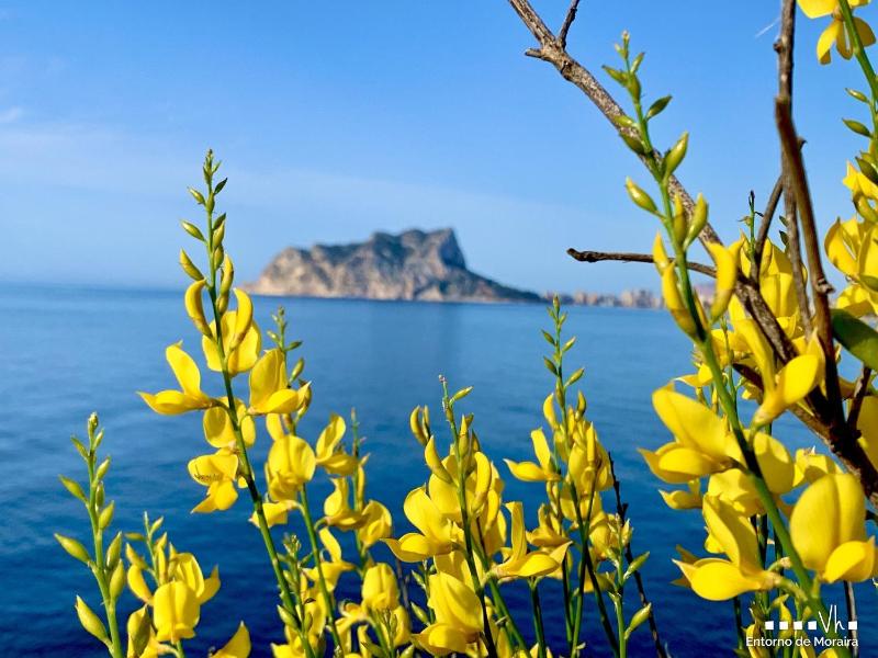 VH CostaBlanca - CARRASQUETA - image 22