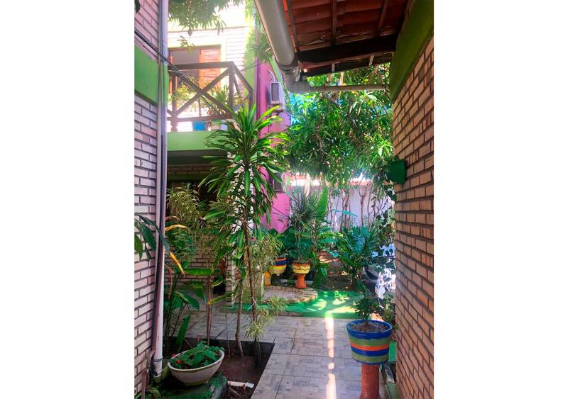 Apê Namastê - image 23