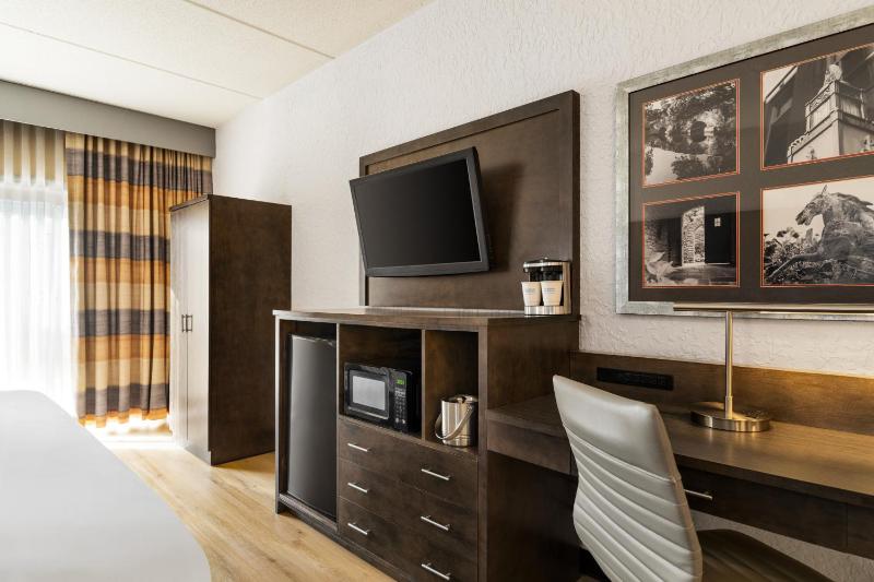 Deluxe King Room - Non-Smoking image 4