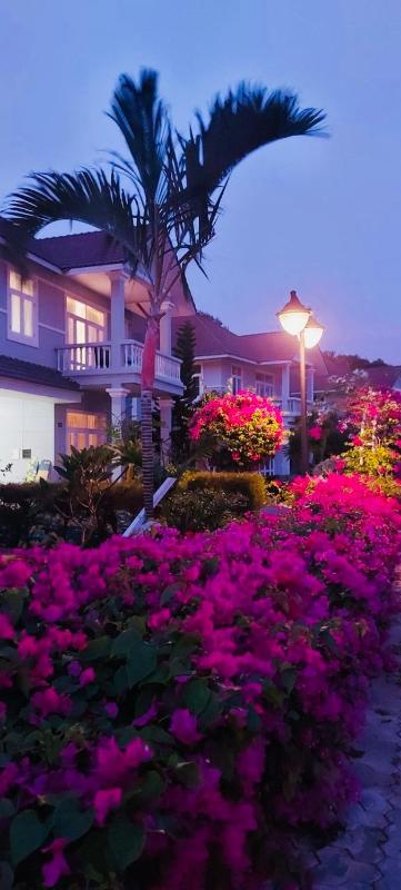 Bougainviella - Sealinks Mũi Né - chuỗi biệt thự liền kề - image 25