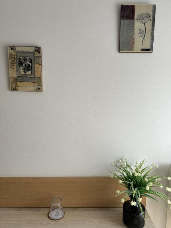 Standard Single Room image 3