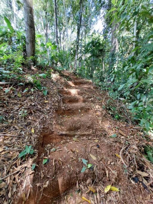 Finca Makambu - image 15