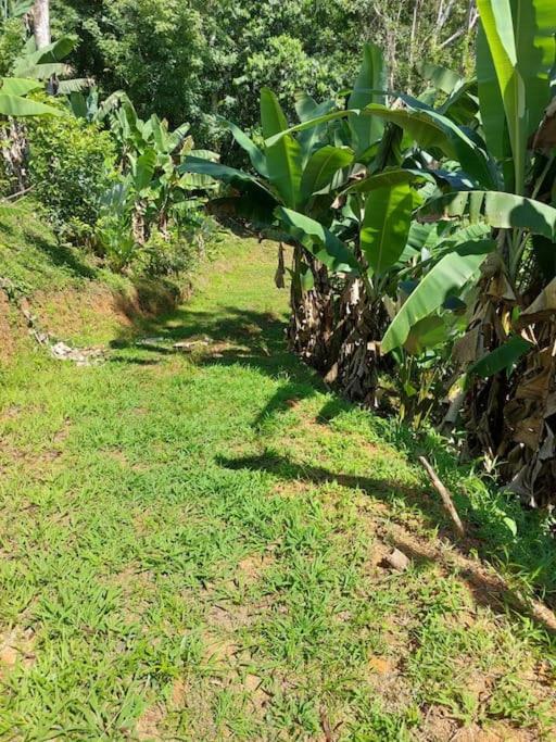 Finca Makambu - image 11