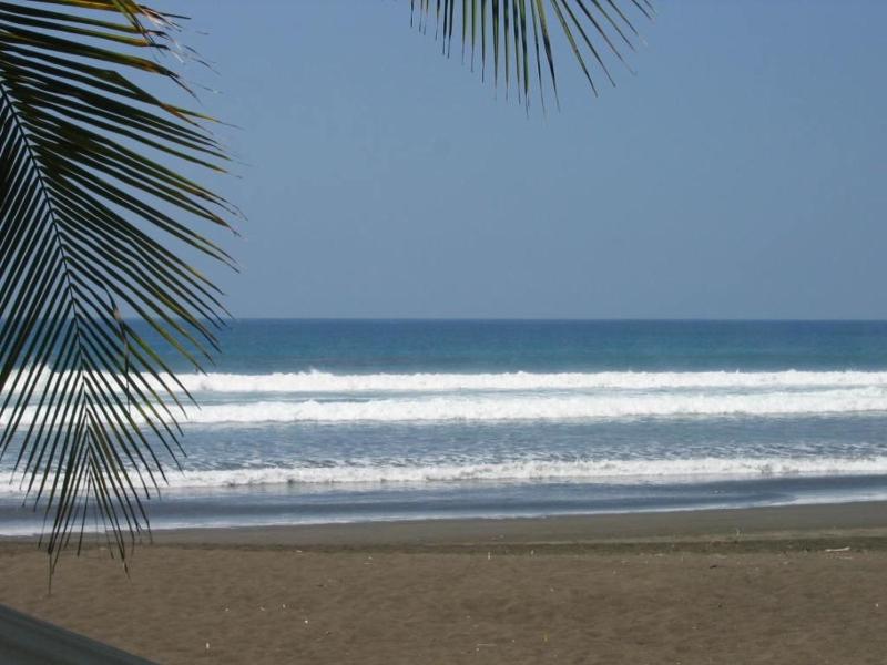 Classy Beachfront Home with Private Pool - Hermosa Palms 110 - image 10